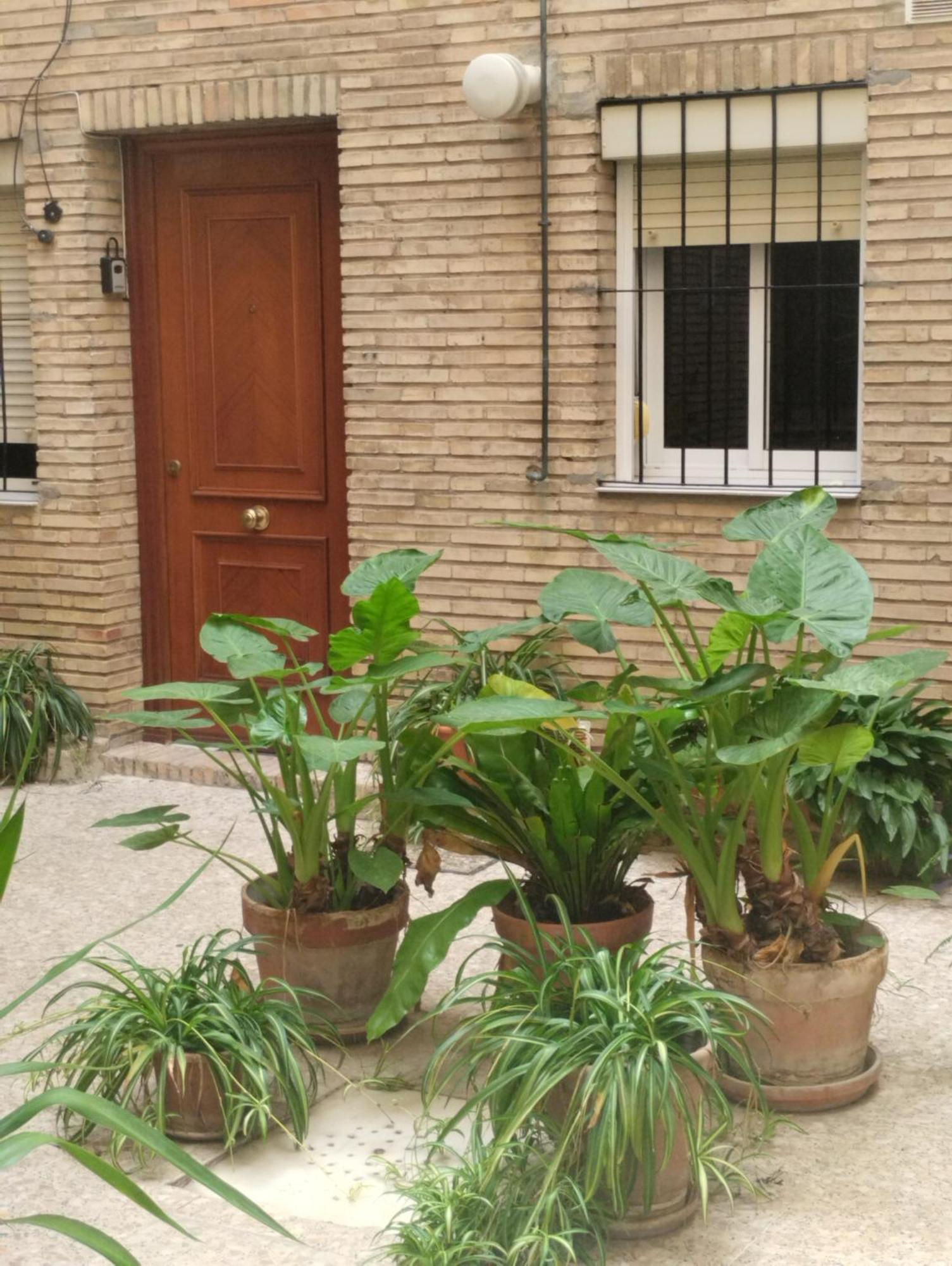 La Casa De Pepa Apartment Sevilla Exterior foto