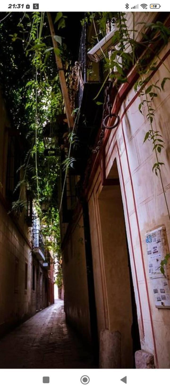 La Casa De Pepa Apartment Sevilla Exterior foto